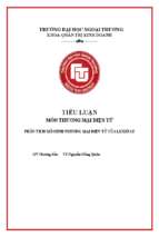 Phân tích mô hình thương mại điện tử của luxstay