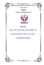 Dự án kinh doanh trái cây sấy khô sayfruitstore