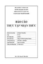 Báo cáo thực tập công ty cổ phần tập đoàn vietstar vietstar group