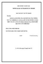 Đánh giá ảnh hưởng của chất điều hòa tăng trưởng thực vật gibberellic acid (ga3) đến sự sinh trưởng và phát triển  của cây cà gai leo (solanum hainanense hance) trong điều kiện nước tưới nhiễm mặn