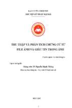 Thu thập và phân tích chứng cứ từ file ảnh và dấu tin trong ảnh