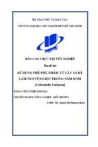 Sử dụng phế phụ phẩm từ cây sả để làm nguyên liệu trồng nấm rơm (volvariella volvacea)