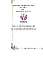 Dự án kinh doanh trà trái cây
