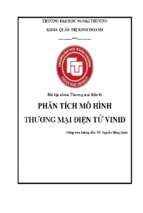 Phân tích mô hình thương mại điện tử vinid