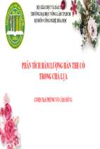Phân tích hàm lượng hàn the có trong chả lụax