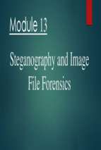Steganography and image file forensics