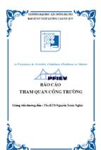 Báp cáo tham quan khu làng nghề truyền thống bát tràng, ecopark