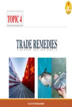 Topic 4 trade remedies