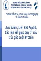 Acid amin, liên kết peptid, các liên kết giúp duy trì cấu trúc gấp cuộn protein