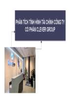 Phân tích tình hình tài chính công ty cổ phần clever groupx