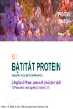 Bậttắt protein bằng phản ứng ly giải nucleotide (3 6) &x