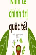 Thực trạng quản lý mnc tại việt namx