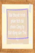 Bài thuyết trình phân tích tài chính công ty bất động sản thế kỷx