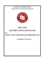 Rủi ro và tổn thất trong bảo hiểm hàng hải
