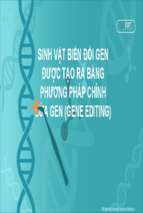 Sinh vật biến đổi gen được tạo ra bằng phương pháp chỉnh sửa gen (gene editing)