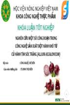 Nghiên cứu một số công đoạn trong công nghệ sản xuất bột hành khô từ củ hành tím sóc trăng (allium ascalonicum)x