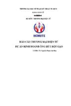 Báo cáo thương mại điện tử dự án kinh doanh ống hút bột gạo