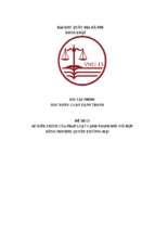 Sự điều chỉnh của pháp luật cạnh tranh đối với hợp đồng nhượng quyền thương mại