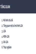 Mô hình chủ đề gk lda