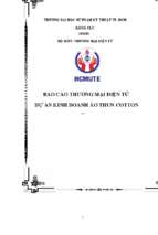 Báo cáo thương mại điện tử dự án kinh doanh áo thun cotton
