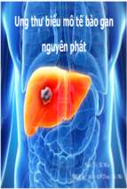 Ung thư biểu mô tế bào gan nguyên phát