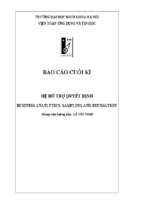 Hệ hỗ trợ quyết định business anatlytics, sampling and estimation