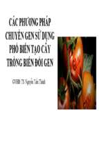 Các phương pháp chuyển gen sử dụng phổ biến tạo cây trồng biến đổi genx