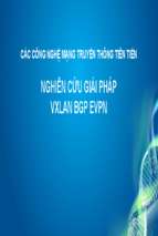 Nghiên cứu giải pháp vxlan bgp evpnx