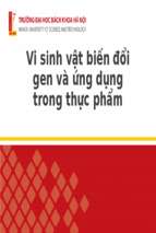 Vi sinh vật biến đổi gen và ứng dụng trong thực phẩmx