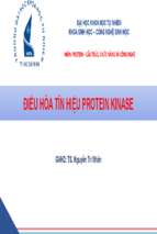 Điều hòa tín hiệu protein kinasex