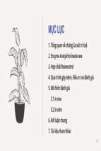 Resveratrol ngăn chặn sự tăng hoạt tính của enzyme acetylcholinesterase và chứng suy giảm trí nhớ ở chuột bị gây bệnh đái tháo đường bởi streptozotocin