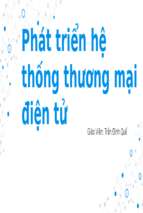 Mô hình kinh doanh thương mại điện tử và cơ sở hạ tầng thương mại điện tử internet, web, nền tảng di độngx