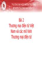 Thương mại điện tử việt nam và các mô hình thương mại điện tử