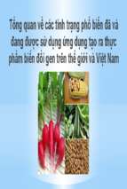 Tổng quan về các tính trạng phổ biến đã và đang được sử dụng ứng dụng tạo ra thực phẩm biến đổi gen trên thế giới và việt namx