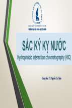 Sắc ký kỵ nước hydrophobic interaction chromatography (hic)x