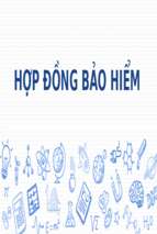 Báo cáo hợp đồng bảo hiểmx