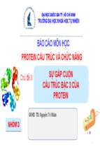 Sư gấp cuộn và cấu trúc bậc 3 proteinx