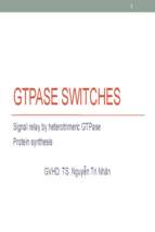 Gtpase switches signal relay by heterotrimeric gtpase protein synthesis