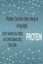 Protein cấu trúc chức năng và công nghệ chức năng cấu trúc và chức năng xúc tác củax