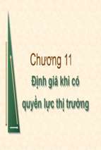 Chương 11 định giá khi có quyền lực thị trường