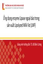 Ứng dụng enzyme lipase ngoại bào trong sản xuất lipolyzed milk fat (lmf)x