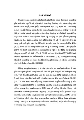 Đặc Điểm Lâm Sàng, Cận Lâm Sàng, Các Yếu Tố Tiên Lượng Và Một Số Kiểu Gen Vi Khuẩn Ở Bệnh Nhân Nhiễm Streptococcus Suis Điều Trị Tại Bệnh Viện Bệnh Nhiệt Đới Trung Ương (2015 – 2018)