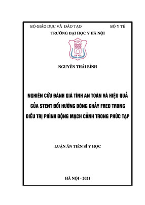 Nghiên Cứu Đánh Giá Tính An Toàn Và Hiệu Quả Của Stent Đổi Hướng Dòng Chảy Fred Trong Điều Trị Phình Động Mạch Cảnh Trong Phức Tạp